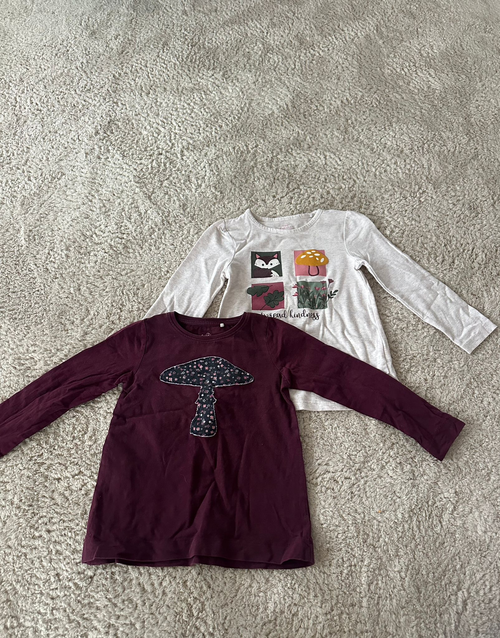 V01- 2x Pullover Gr. 110